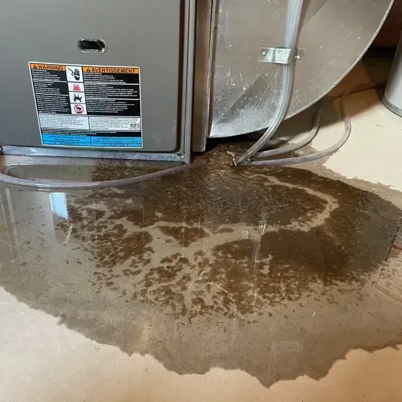 Appliance Leak Cleanup in Slater, MO